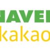What is Naver and Kakao Talk?